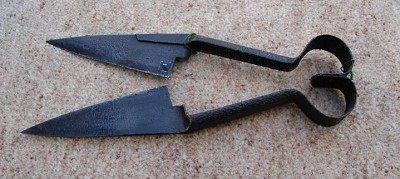 Sheep Shears