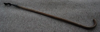 350. Walking stick thistle spud
