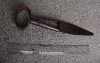 378. Sheep shears
