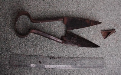 380. Sheep shears
