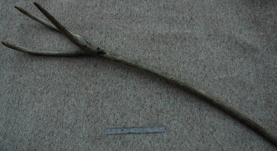 Barley fork